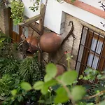 Apartmán La Sultana *