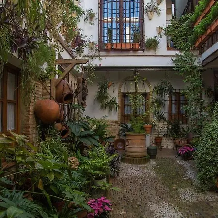 La Sultana *