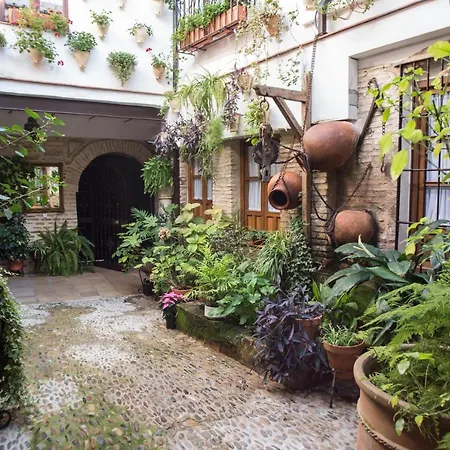 La Sultana Cordoba