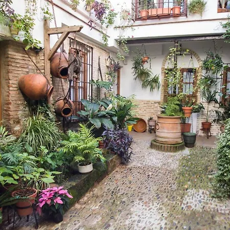 Apartment La Sultana