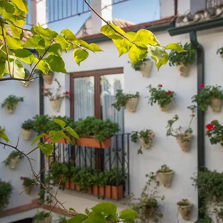 Apartment La Sultana