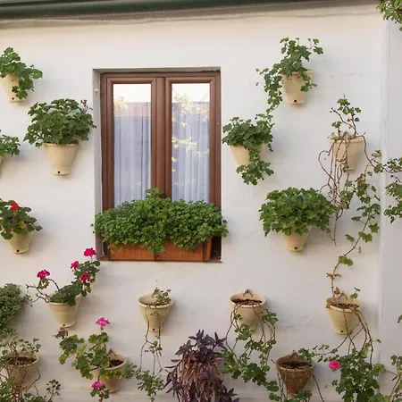 La Sultana * Córdoba