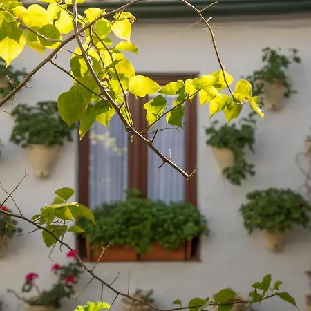 La Sultana * Córdoba