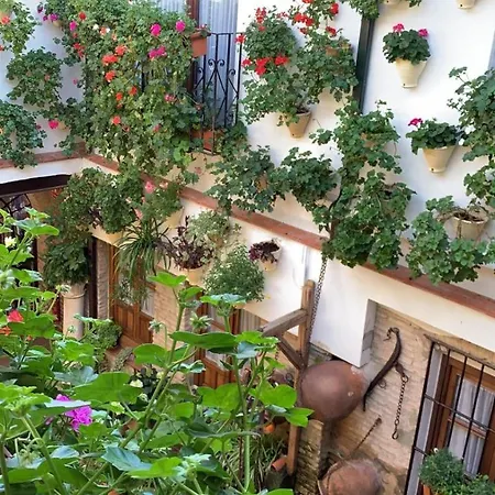 La Sultana Appartement