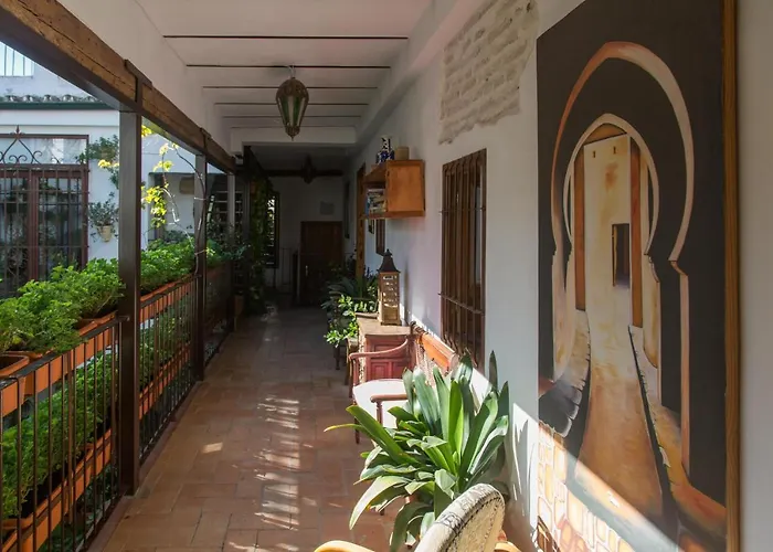 La Sultana * コルドバ