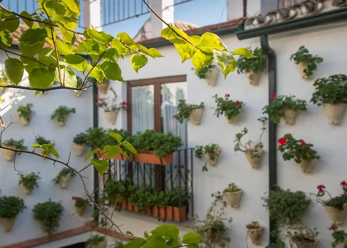 アパート La Sultana