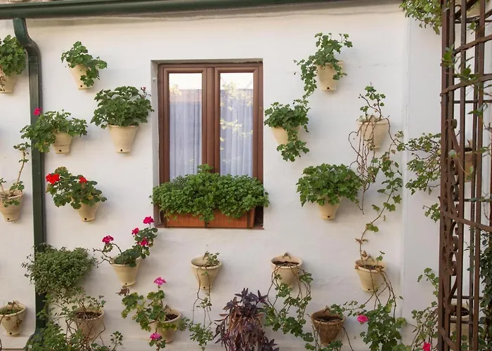 La Sultana * コルドバ