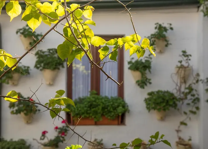 La Sultana * コルドバ