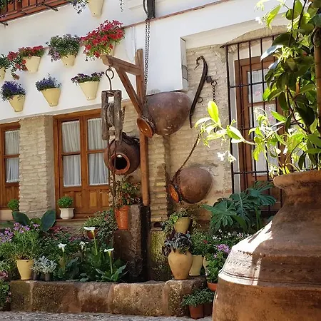 La Sultana *