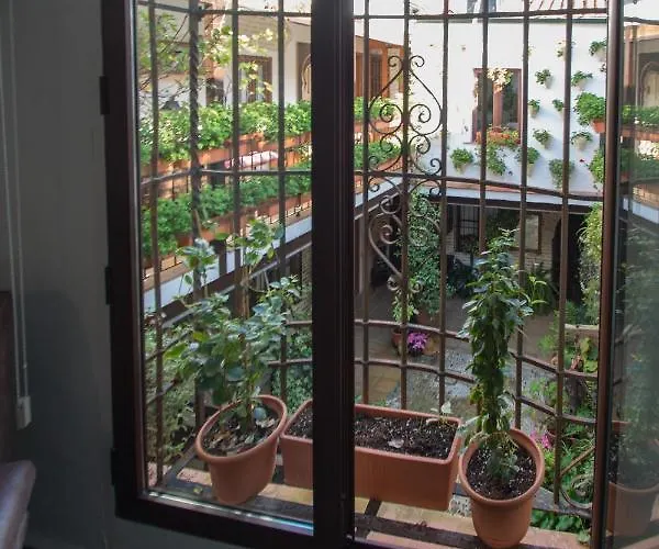 Appartement La Sultana