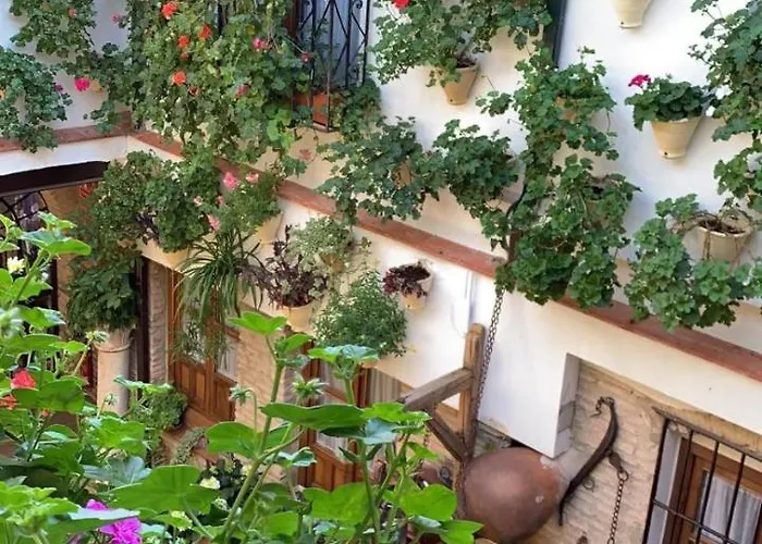 La Sultana Appartement